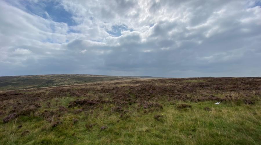 Moors
