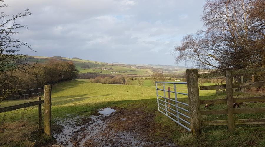 Muddy Field on John Martin Heritage Trail Looking Down To South Tyne Northumberland Taken by Markster