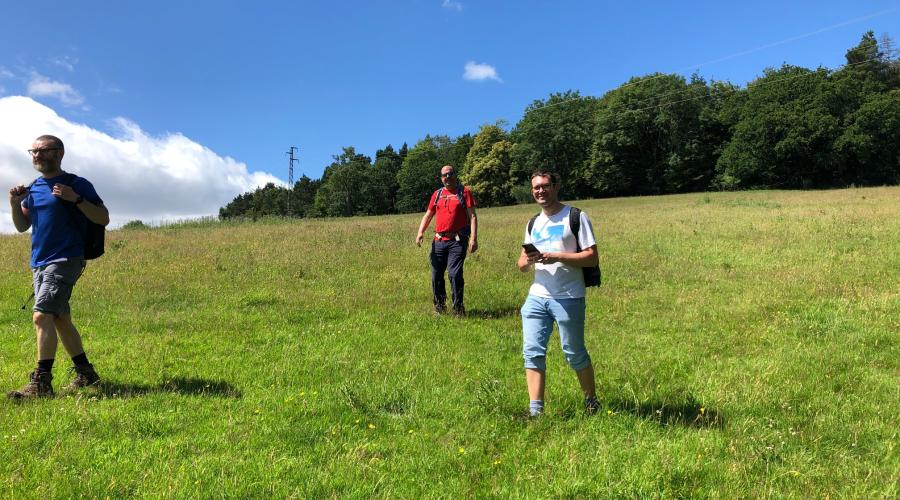 ODL's in a field