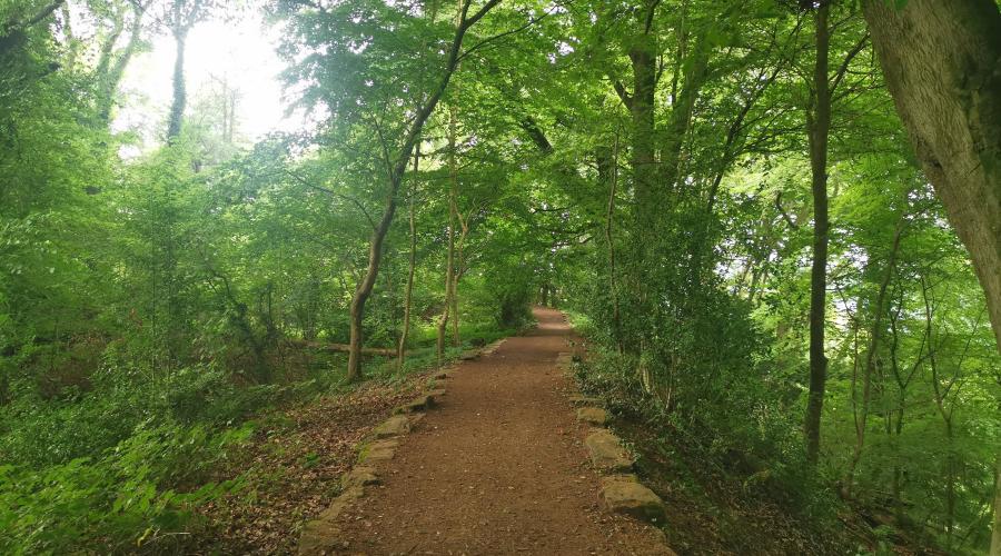 Offa's Dyke