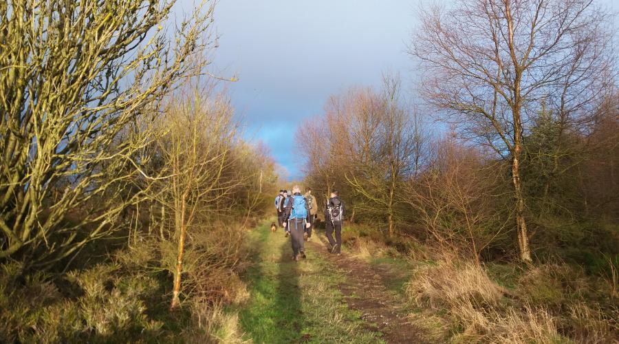 Walk group hiking through woodland in late afternoonsunshine