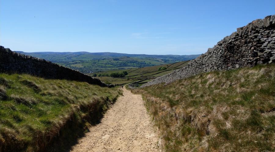 Bridleway near South Head