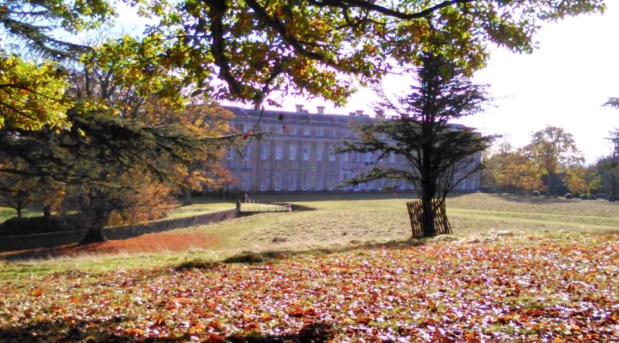 Petworth House and Park in dappled sunlight