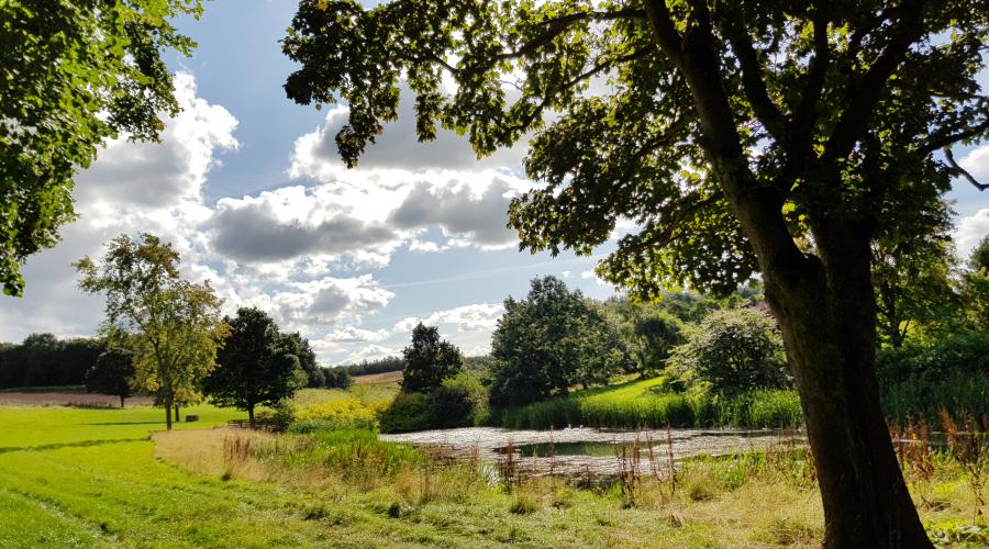 Pond Near East Learmouth Taken By Markster