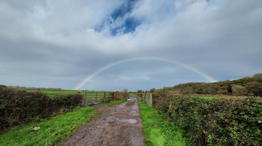 Rainbow near Dunster