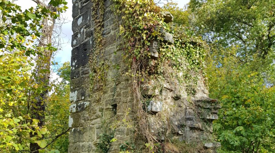 Remains Of Staward Peel Northumberland Taken by Markster