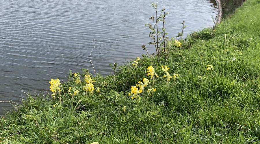 Barnt Green Reservoir