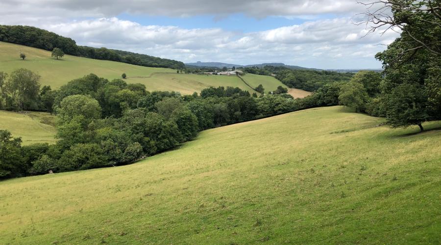 Rolling Valleys