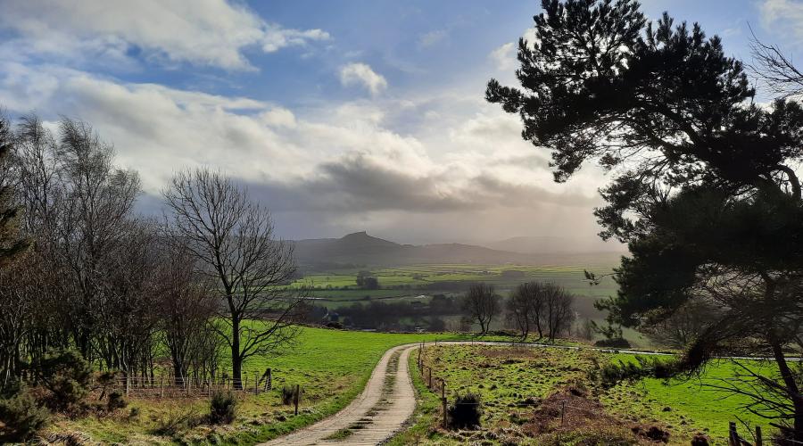 Amazing framed view looking down track through trees to Roseberry Topping hill in the winter sunshine 