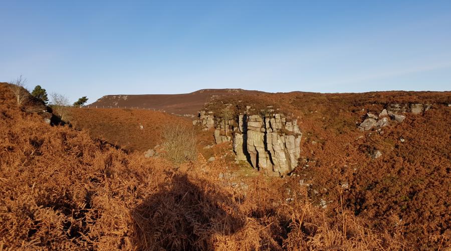 Rothbury Selbys Cove Taken By Markster