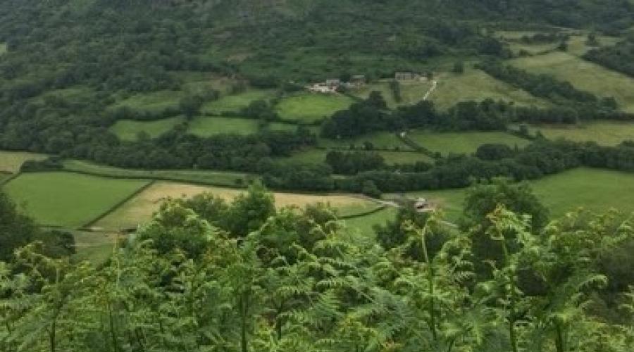 Scenic View from the Beacons Way