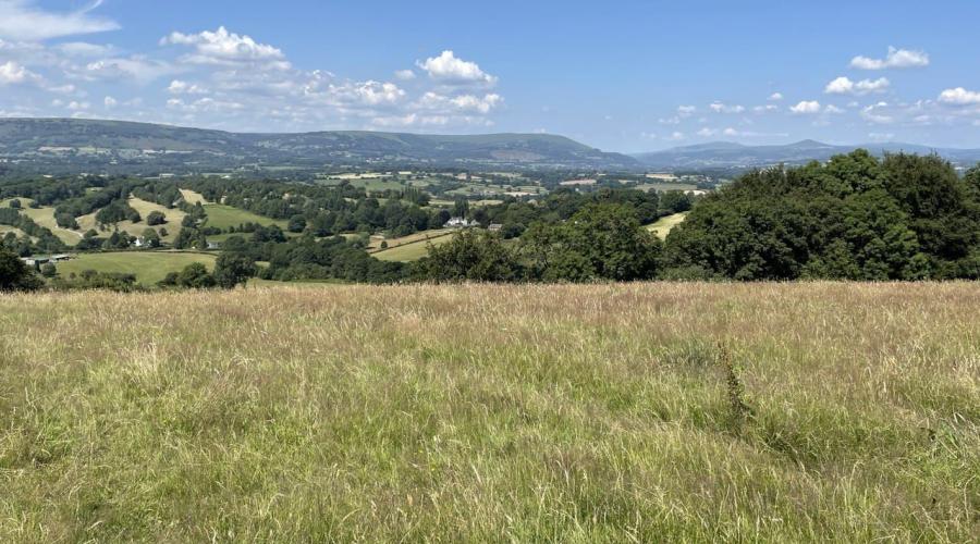 Scenic Wales