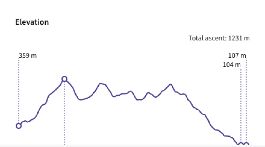 Elevation profile of this walk