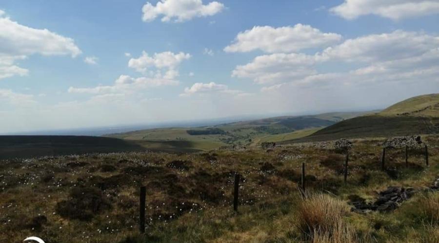 Shining Tor