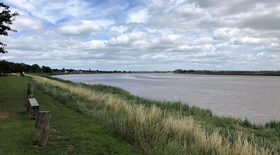 Severn at Newnham