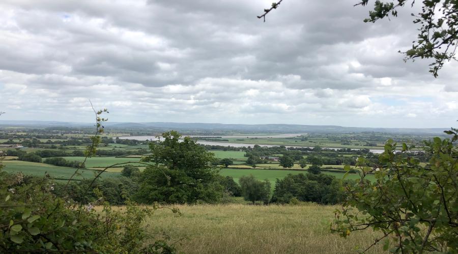 Severn from above Newnham