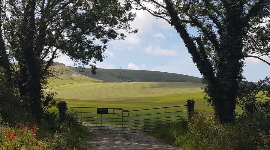 South Downs