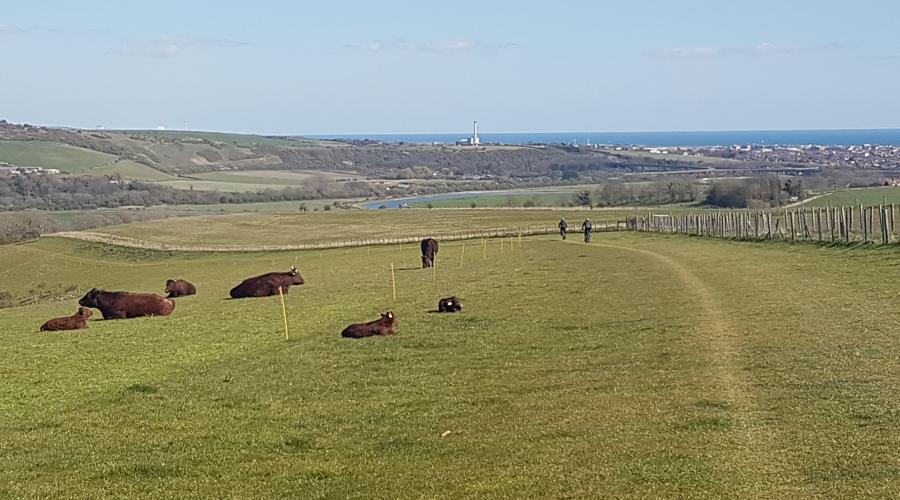 View to Brighton, Combe Farm, Sussex