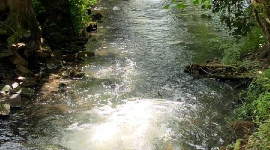 A Stream