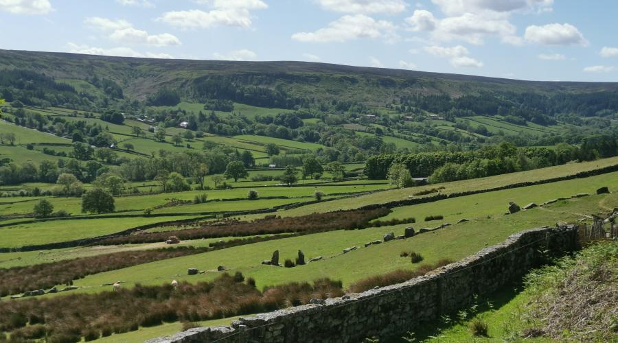 Summer in the North York Moors