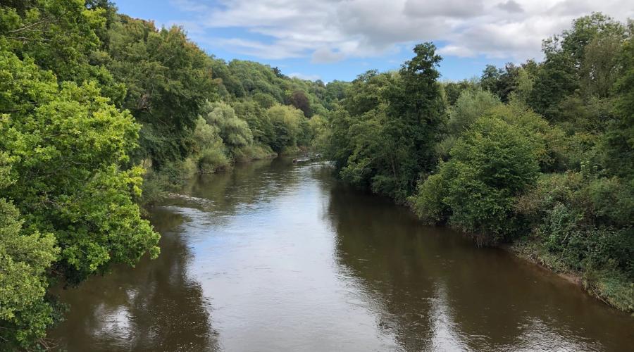The Wye at Welsh Bicknor