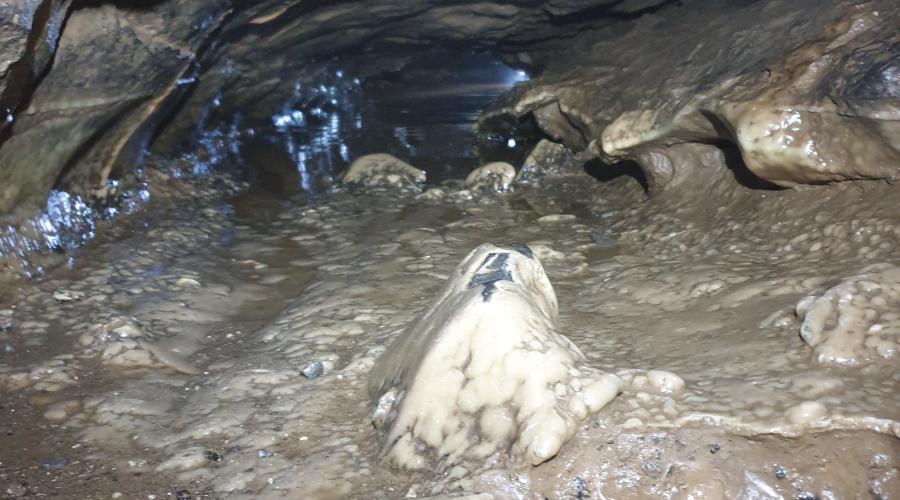 The wind pipe crawl.