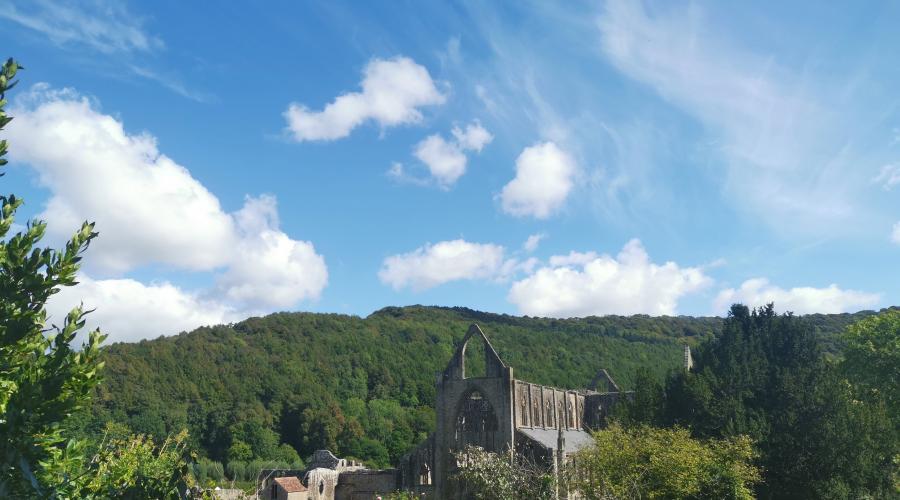 Tintern Abbey