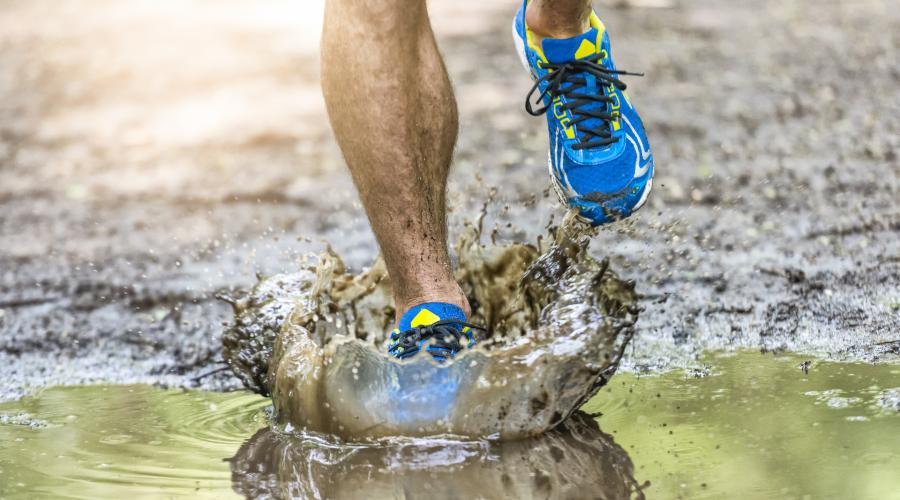 Trail Run 2 - Shutterstock Purchase SJSE Purchase