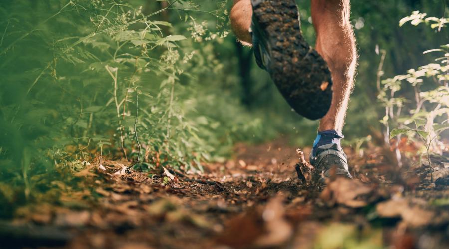 Trail Run 3 - Shutterstock Purchase SJSE