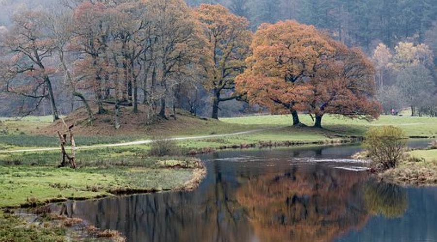 Autumn trees in Lakeland