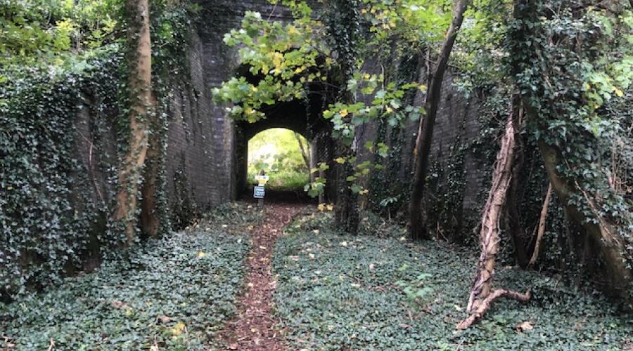 Tunnel under Railway line near Bourton