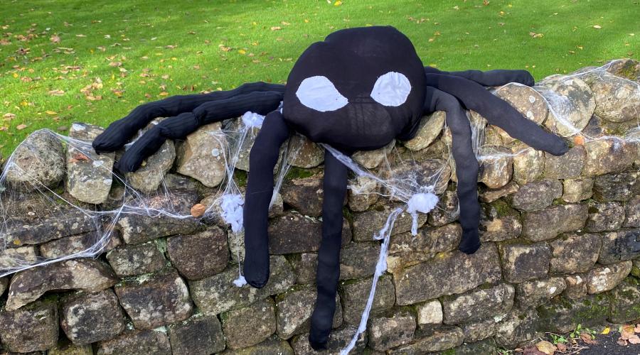 Spider