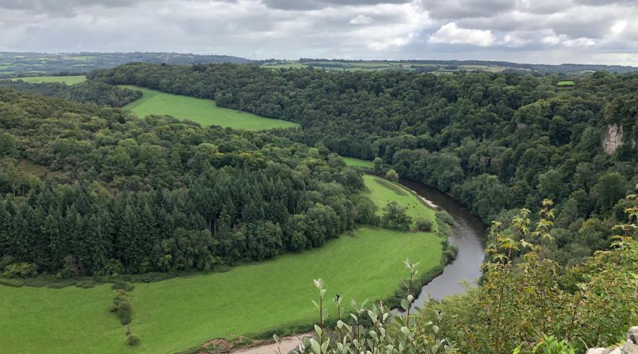 View from Symonds Yat
