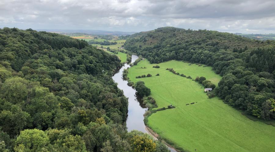 View from Symonds Yat