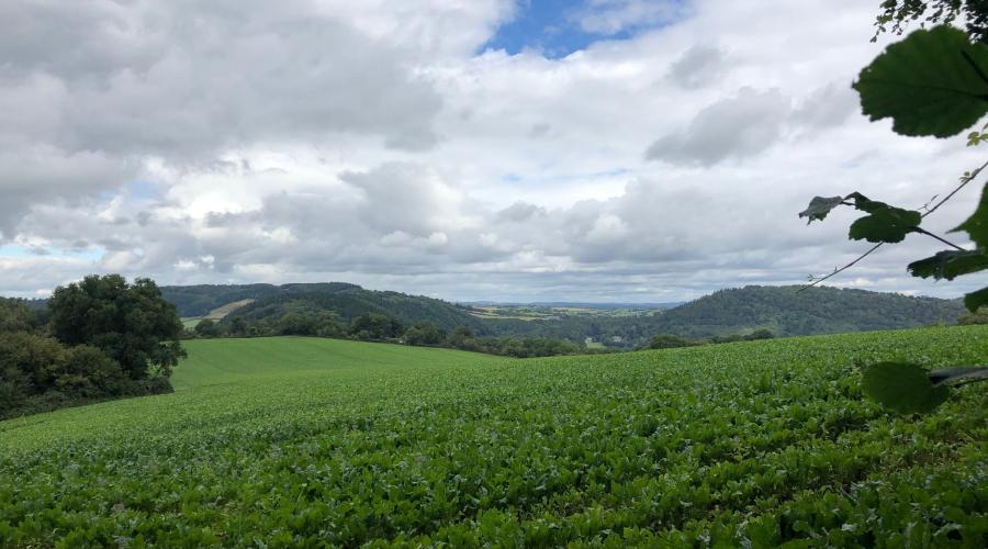 View in Monmouth