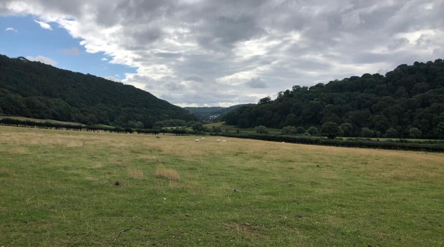 View in Monmouth