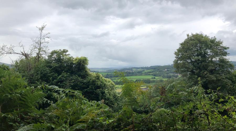 View in Monmouth