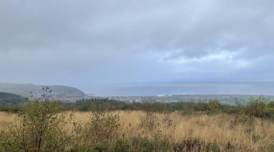 View over Minehead