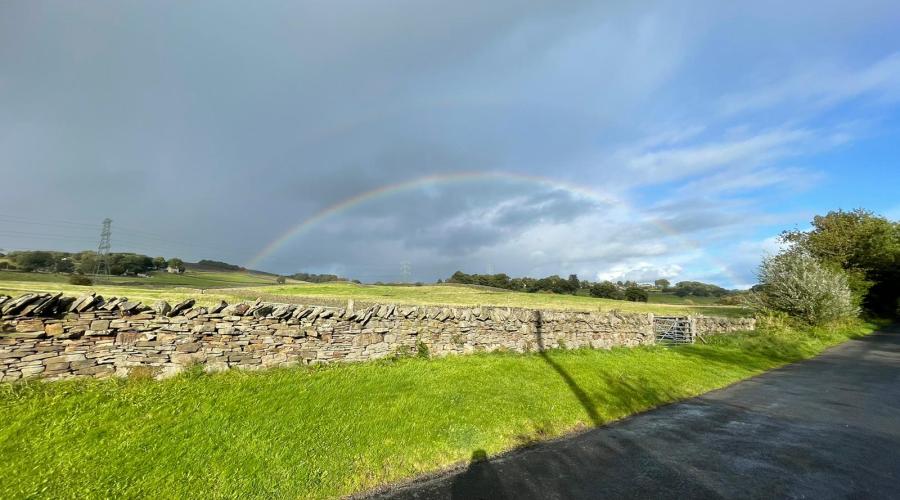 Wall view with bright sunshine
