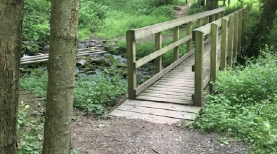 Wooden Bridge