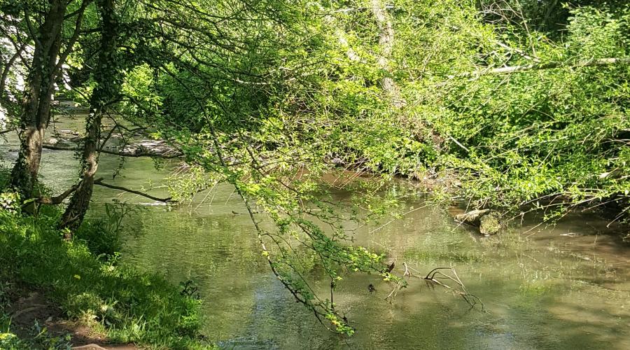 Picture of River Frome