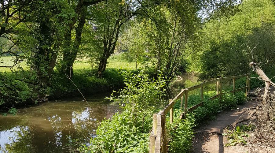 Picture of River Frome