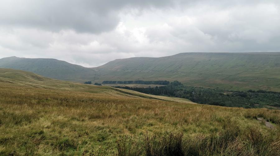 ex reservoir Neuadd 2
