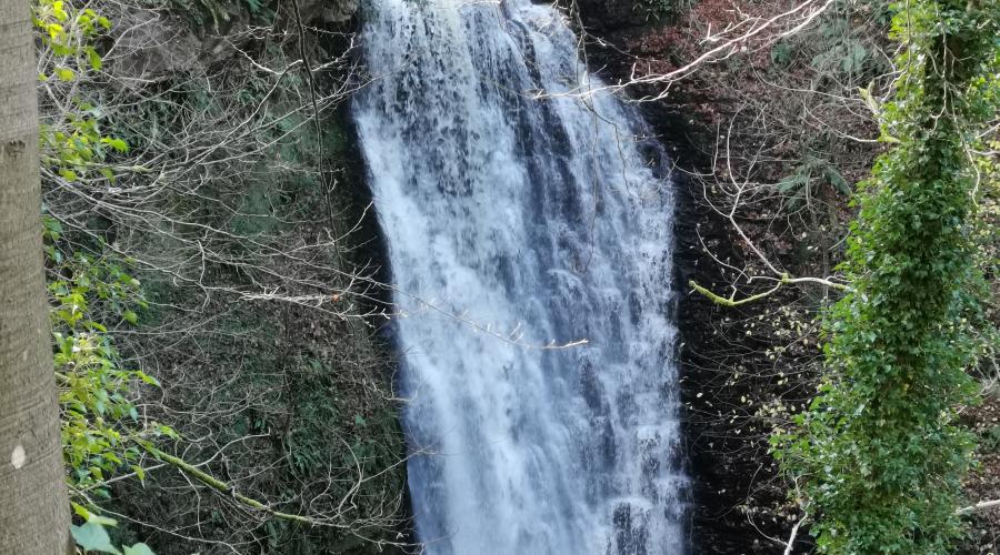 Falling Foss