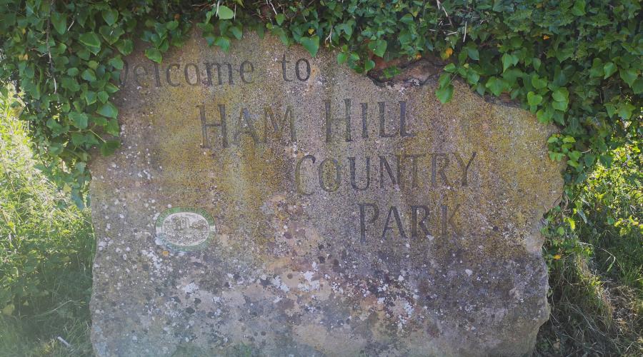 Ham Hill Stone