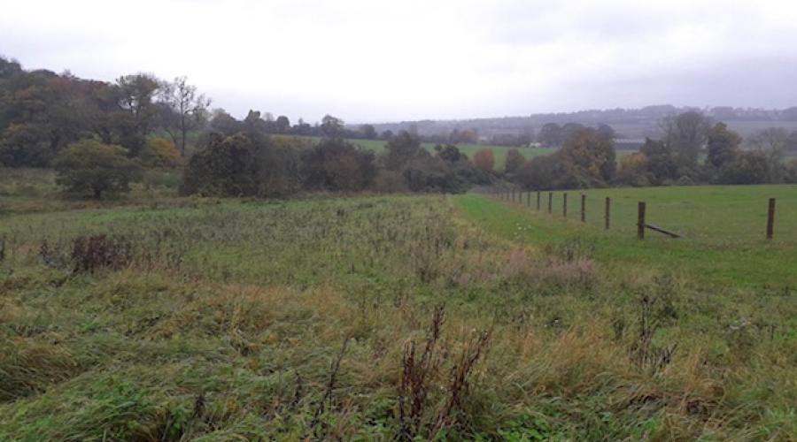 Charlbury Fields