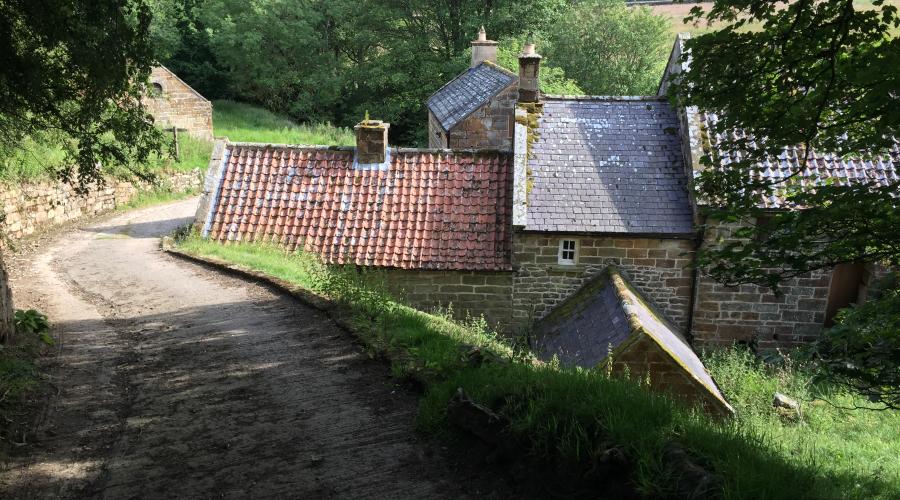 View of Bransdale Mill as you approach from the track