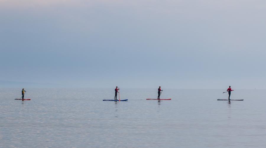 Paddleboarders on the water