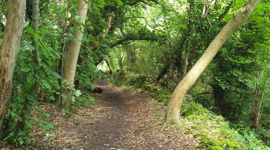 Woodland path along the Macmillan way south of Castle Combe