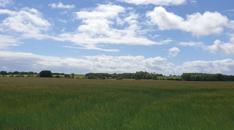 Rolling Cotswold Hill meadow taken between West Kington and North Wraxall